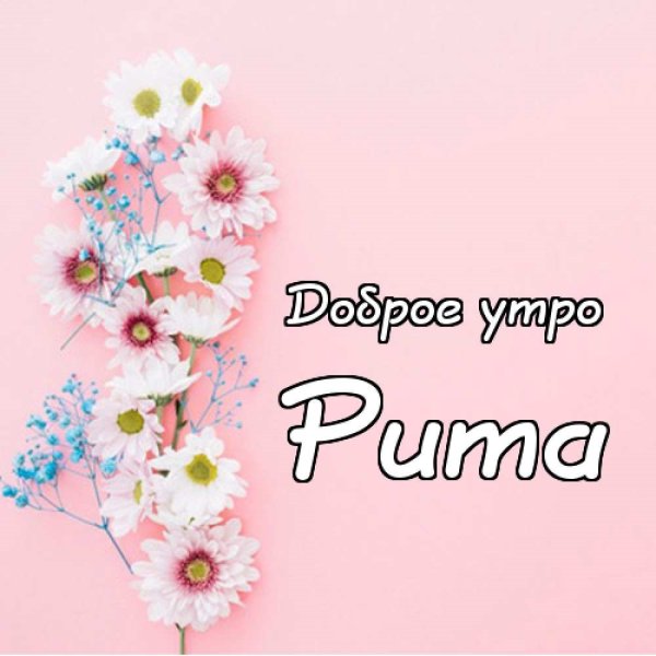 С днём рождения Эльвина