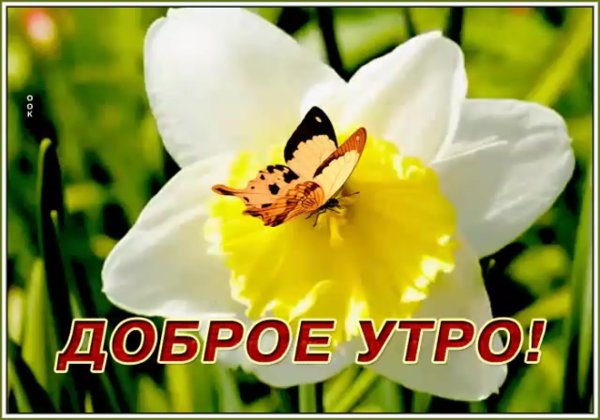 Открытки с добрым утром Танечка