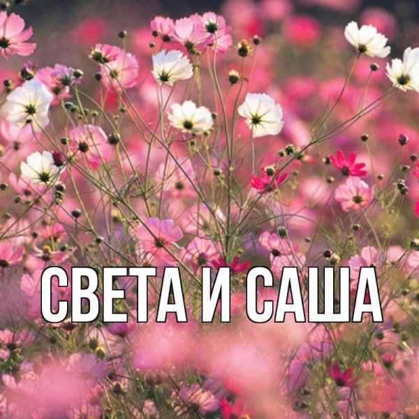 Светик приветик