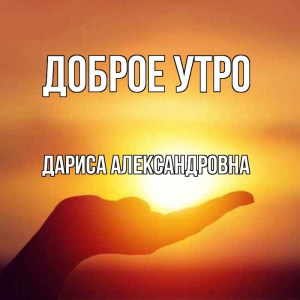 Доброе утро с герберами