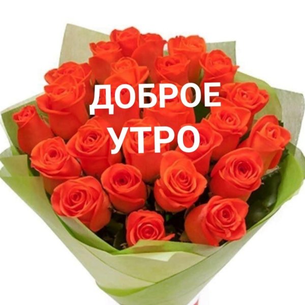 Доброе утро Виктор