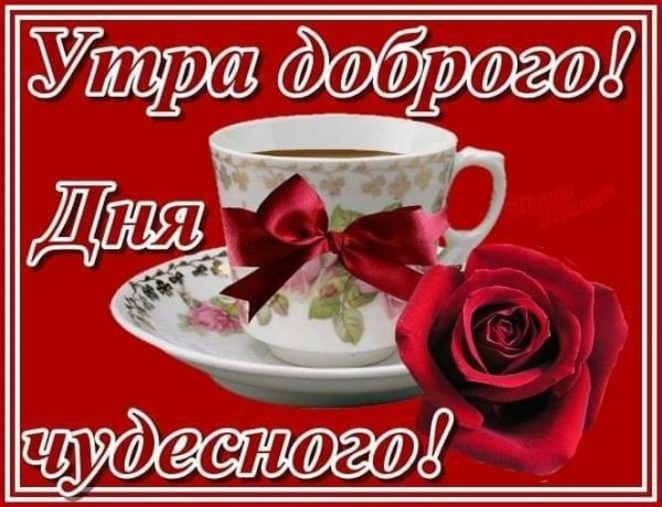 Доброе утро девушке