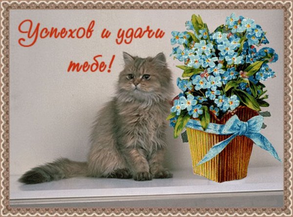 Открытки удачи и везения