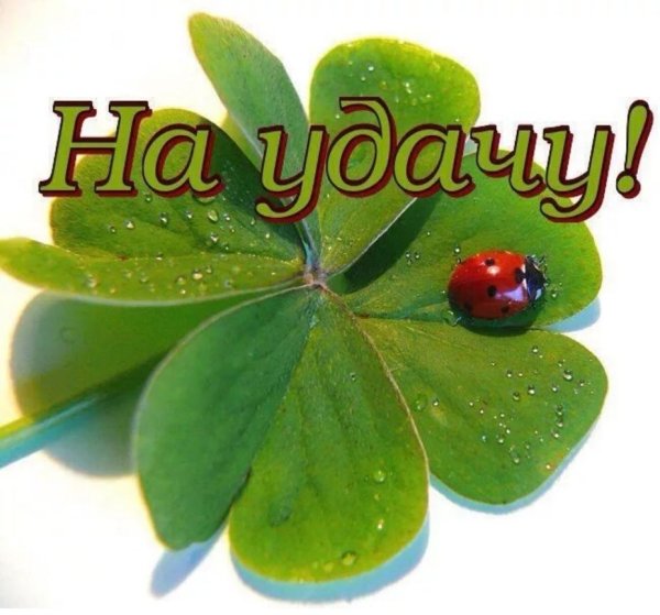 На удачу