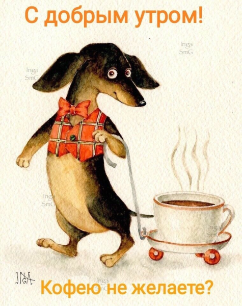 Доброе солнечное утро