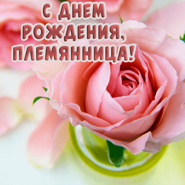 С днем рождения