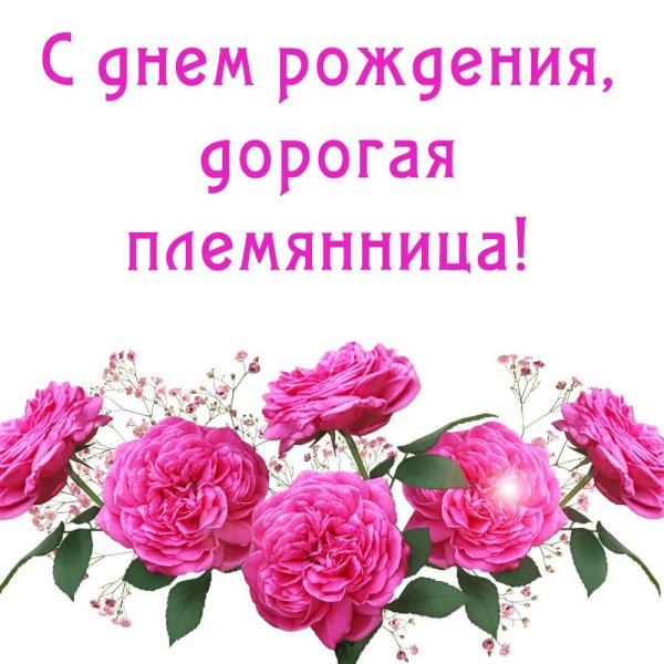 С днём рождения племяннице