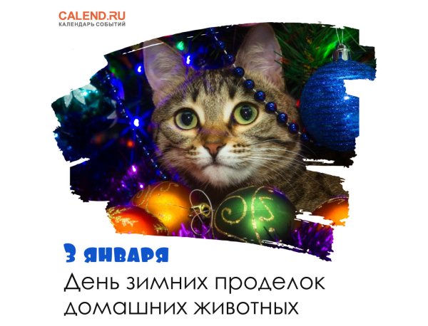 3 Января