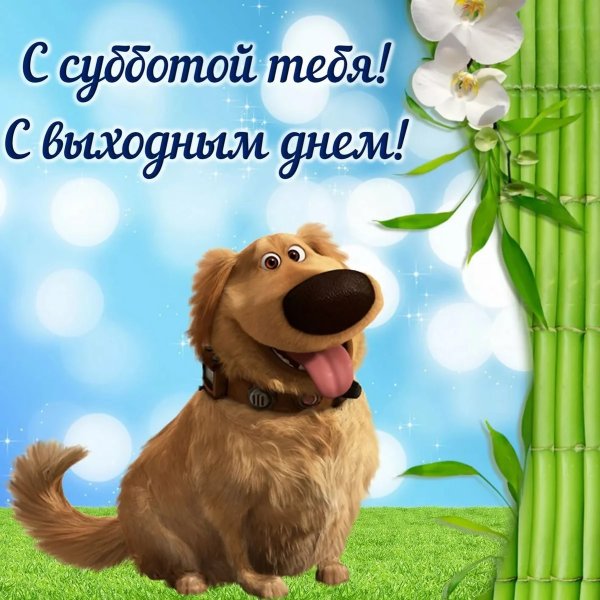 Открытки поздравления с субботой