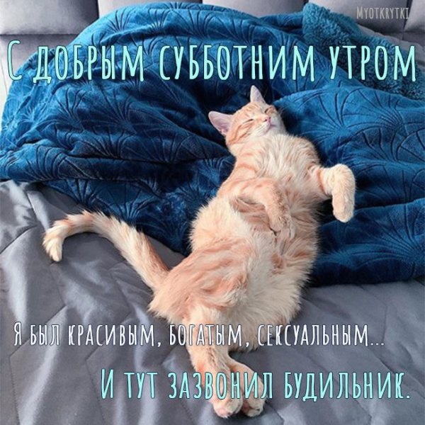 Доброе утро субботы