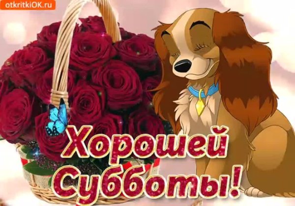 Хорошей субботы
