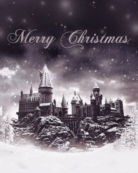 Гарри Поттер Хогвартс новый год