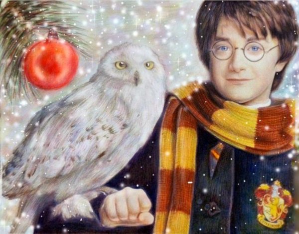 Гарри Поттер НГ