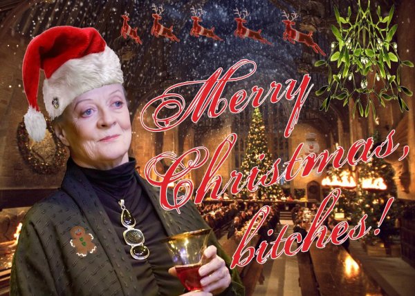 Гарри Поттер с новым годом