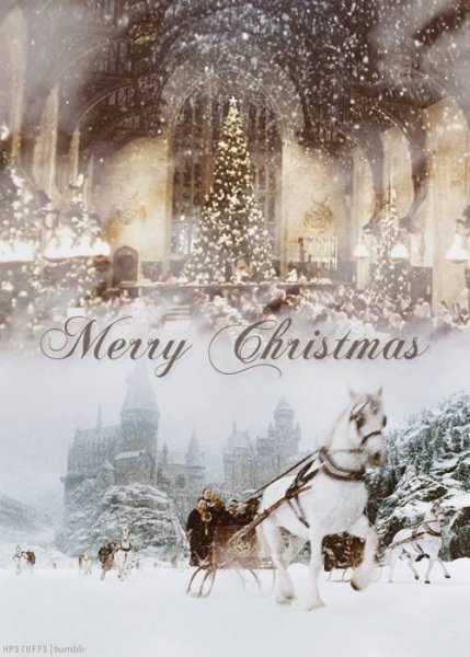 Хогвартс зима Гарри Поттер