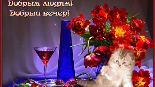 Добрый вечер красивые