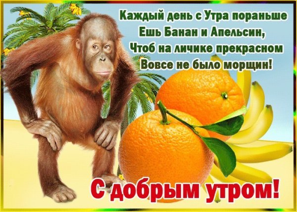 Пожелания доброго утра прикольные с юмором