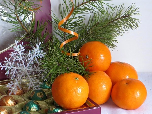 Мандарины и елка