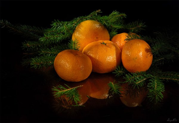 Апельсины елка новый год
