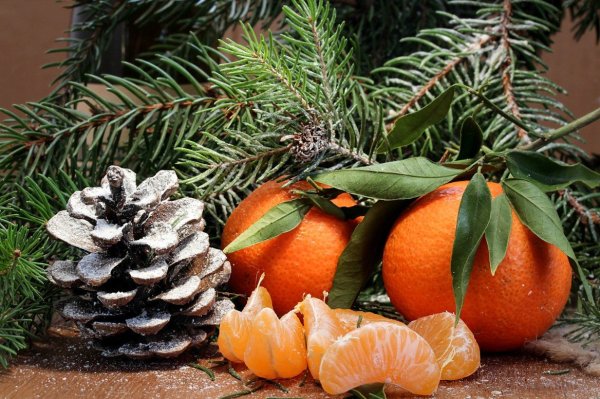 Мандарины новый год