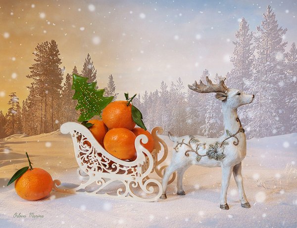 Новогодний мандарин.