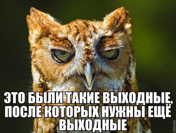 Доброе УИРО после выходнх