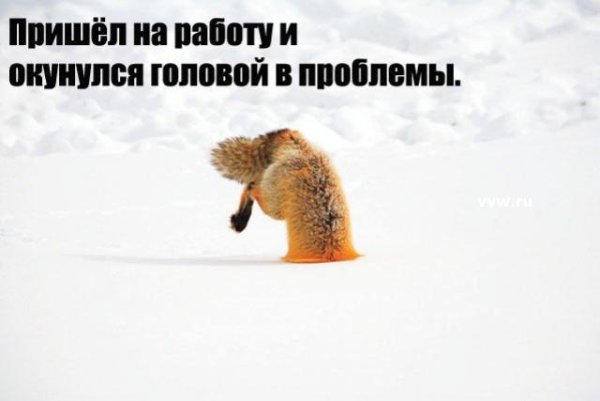 Смешные поздравления с первым рабочим днем