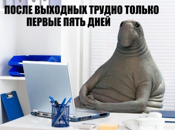 Первый день на новой работе