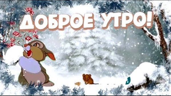 Прикольные поздравления с добрым утром зимние