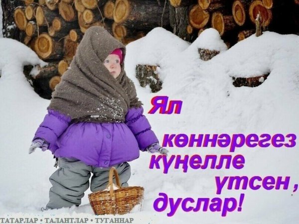 Снегирь и синица