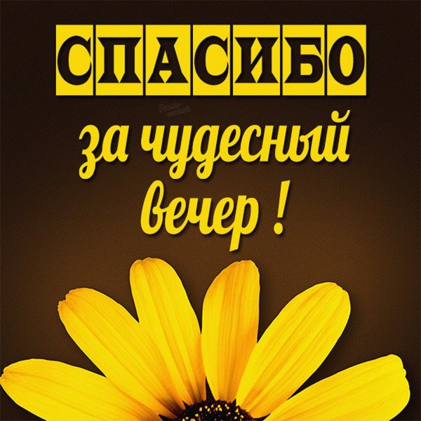 Спасибо мама