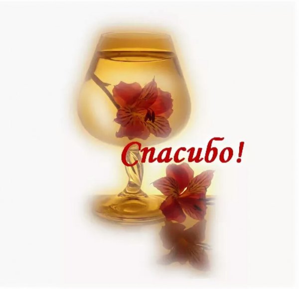 Спасибо мужчине