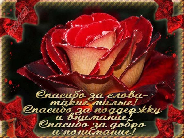 Открытки с благодарностью мужчине