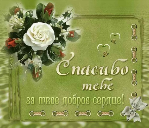 Спасибо за подарок