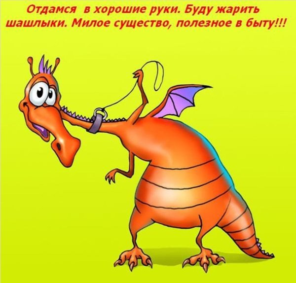 Смешные открытки