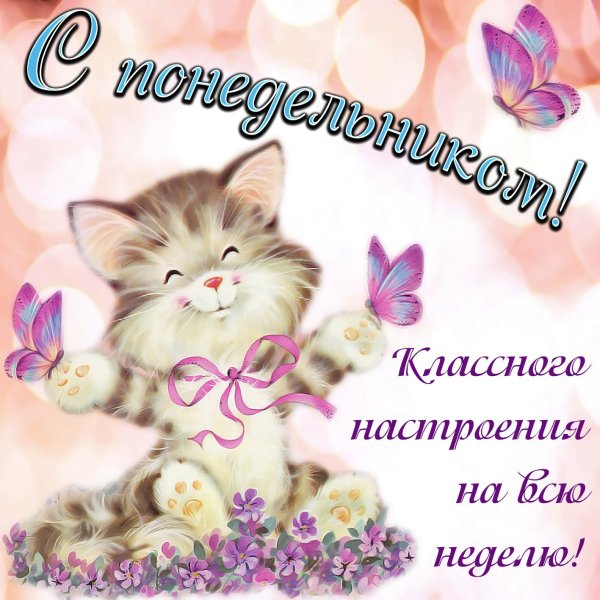 Красивые открытки с понедельником