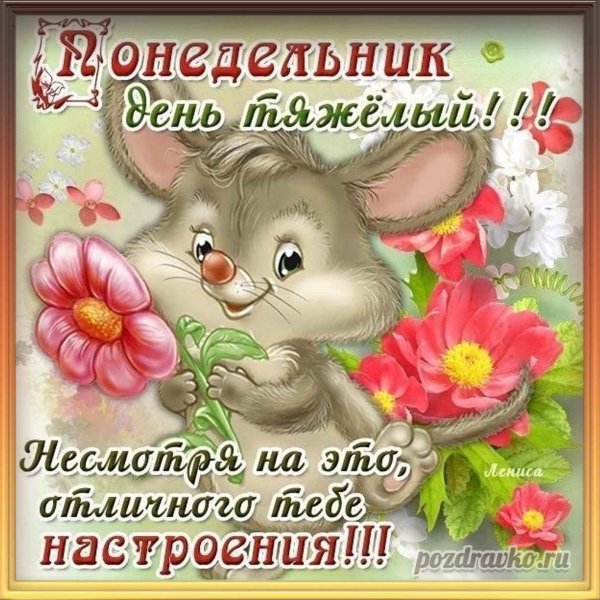 Поздравление с понедельником прикольное