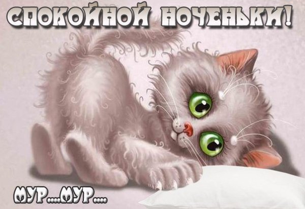 Сладких снов