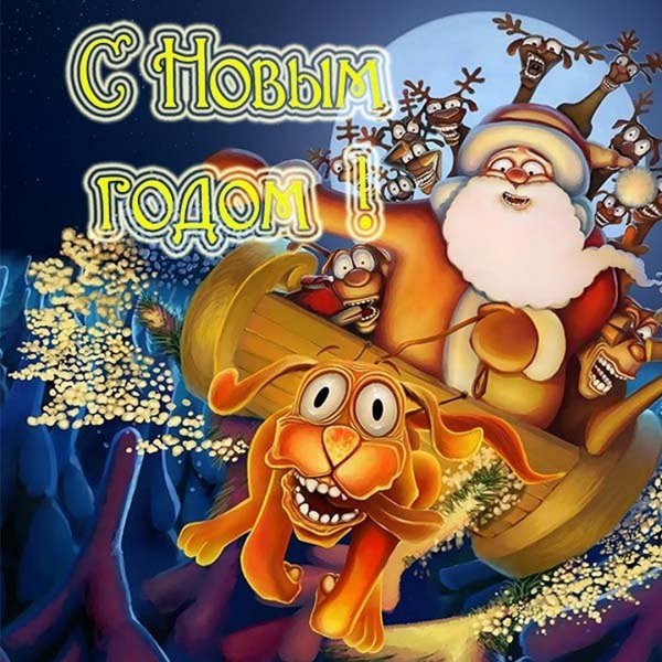 Новогодние приколы