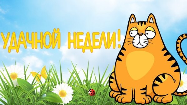 Отличной рабочей недели