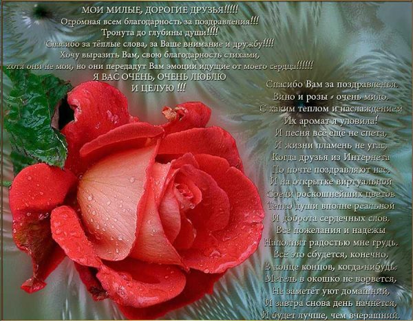 Стихи благодарности за поздравления