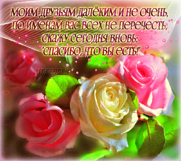 Спасибо за поздравления с днем рождения