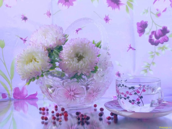 Чудесного дня и настроения