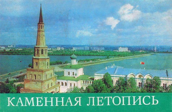 Казанский кот вектор