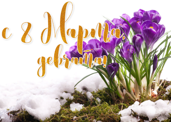 Цветы из под снега