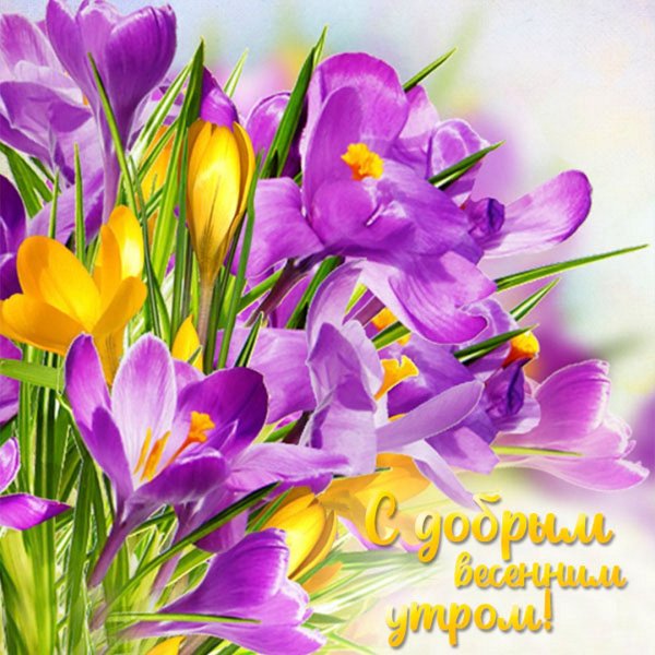 Весенние цветы