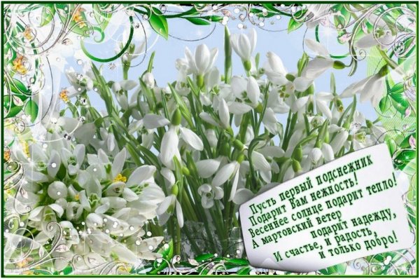 Синие тюльпаны