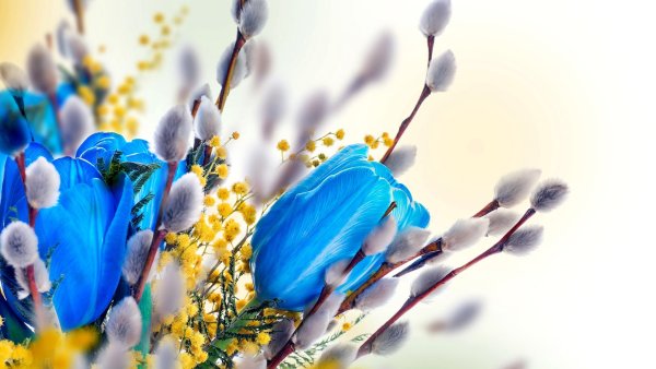 Открытки с подснежниками