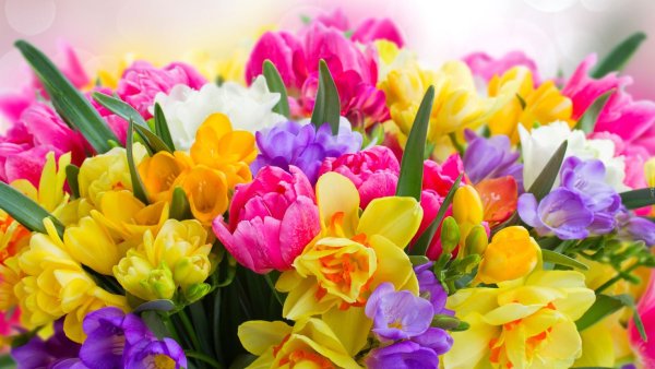 Открыточки о весне