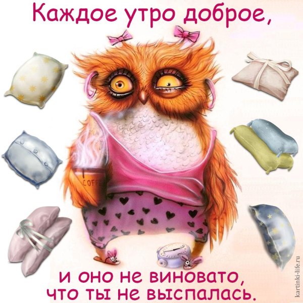 Открытки с добрым утром прикольные